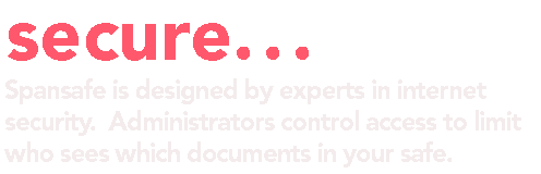 Spansafe is designed by experts in internet security.  Administrators control access to limit who sees which documents in your safe..
