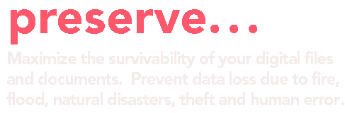 Maximize the survivability of your digital files and documents.  Prevent data loss due to fire, flood, natural disasters, theft and human error.